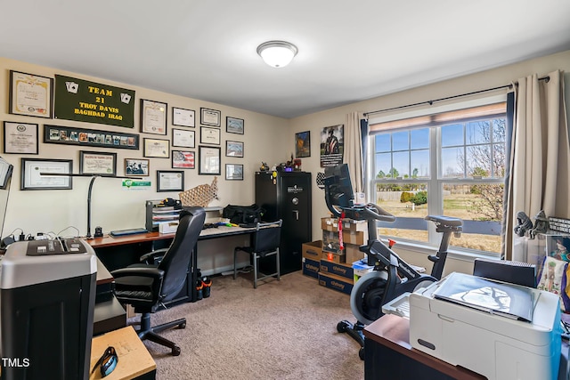 office with carpet flooring