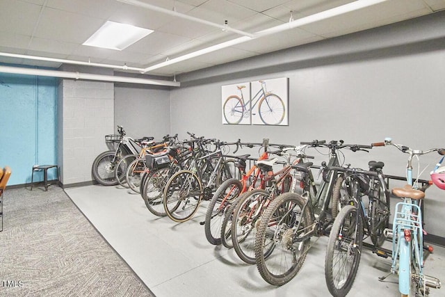 garage with bike storage