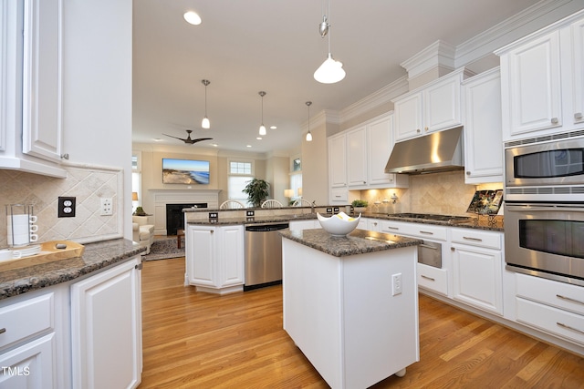 kitchen with light wood finished floors, white cabinets, stainless steel appliances, under cabinet range hood, and a fireplace