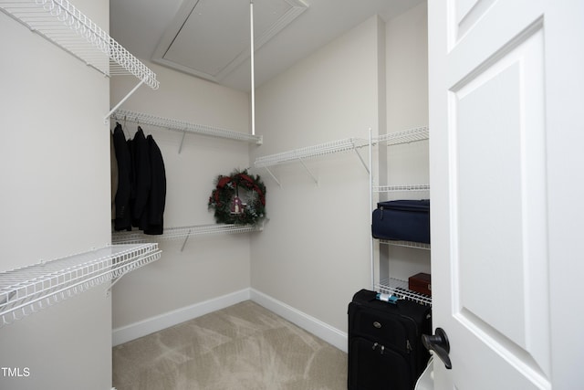 spacious closet with carpet and attic access