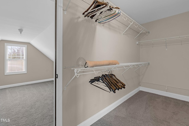 walk in closet featuring carpet and vaulted ceiling