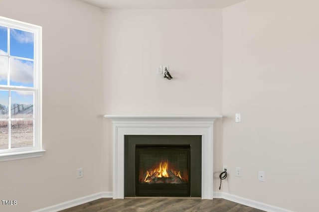 details with a glass covered fireplace, baseboards, and wood finished floors