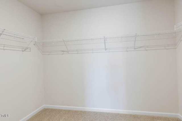 spacious closet featuring light carpet