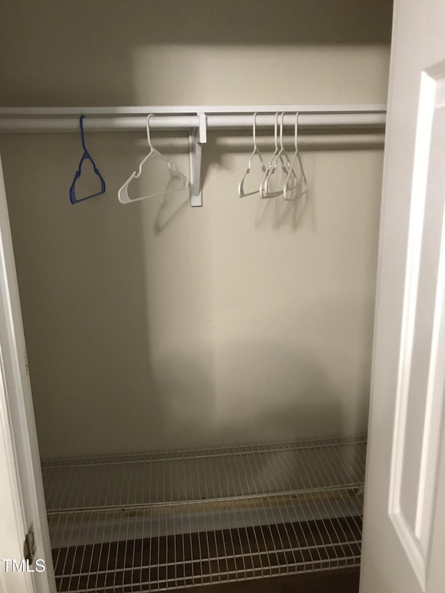 view of closet