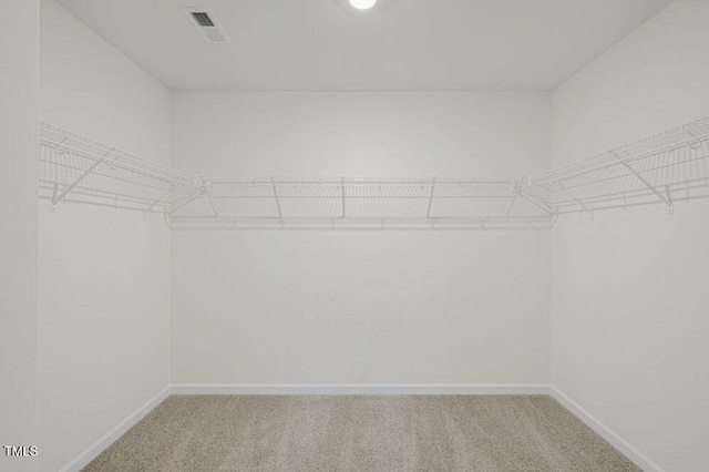 walk in closet with visible vents and carpet flooring