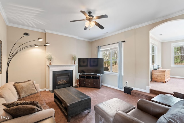 carpeted living area with ornamental molding, a glass covered fireplace, plenty of natural light, and baseboards