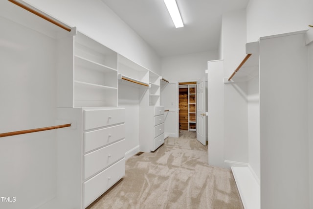 walk in closet with light colored carpet