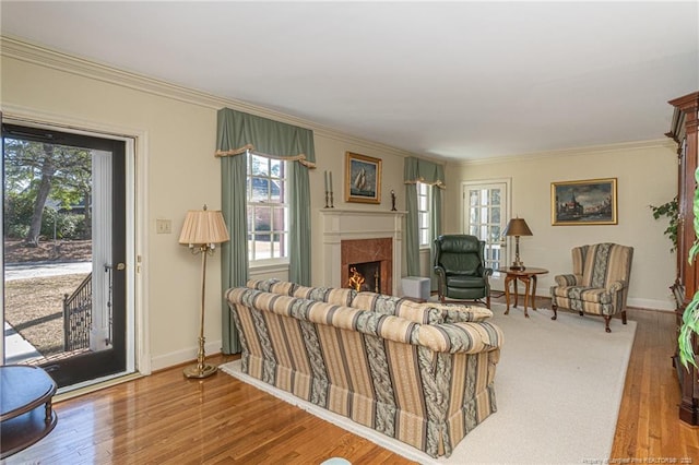 living area featuring plenty of natural light, a fireplace, and wood finished floors