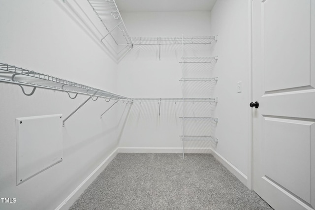 walk in closet featuring carpet