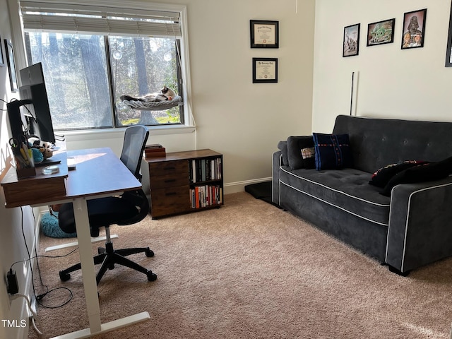 carpeted home office featuring baseboards