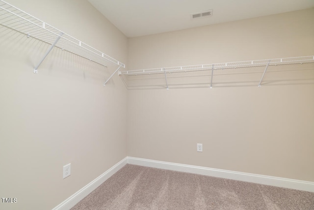 spacious closet featuring carpet flooring and visible vents