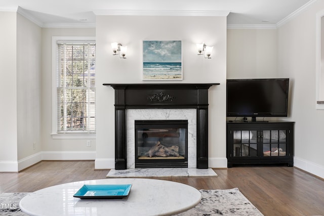 living area featuring ornamental molding, a premium fireplace, and wood finished floors