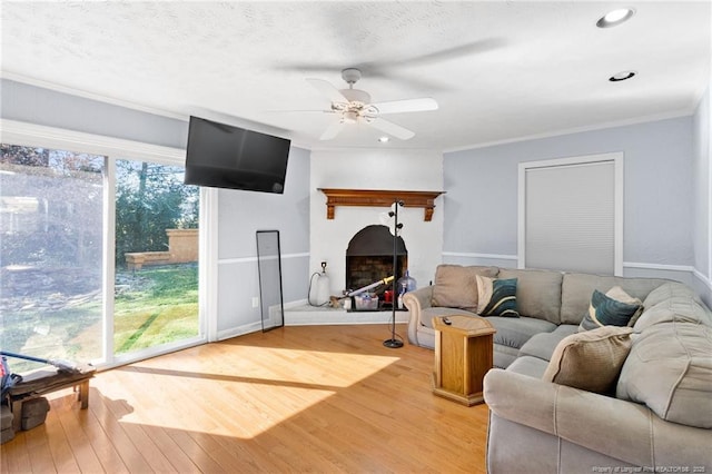 living area with light wood-style flooring, a ceiling fan, a fireplace with raised hearth, and a wealth of natural light