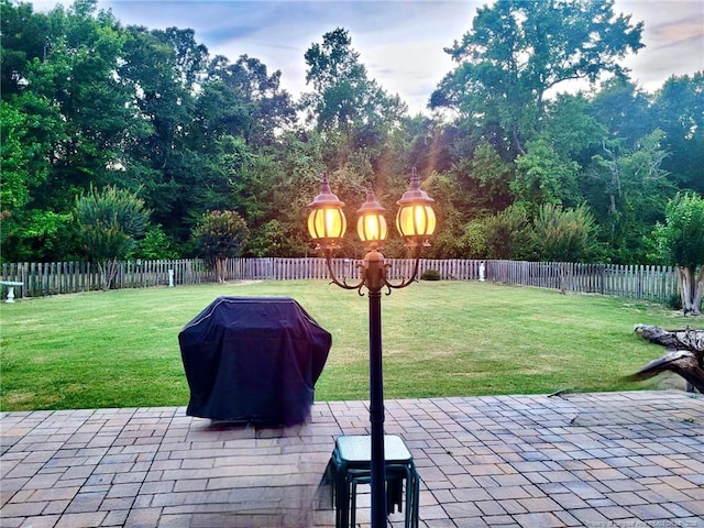 view of yard with a patio area, a fenced backyard, and a playground