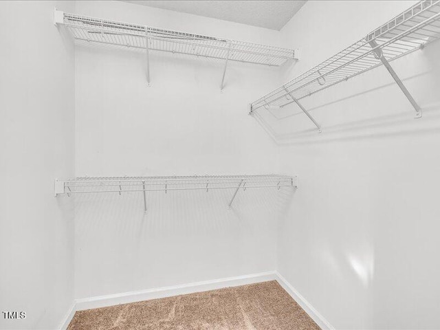 706 Canyon Lake Cir, Morrisville, NC 27560 - spacious closet with carpet floors