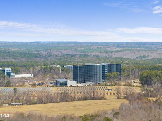 aerial view with a forest view