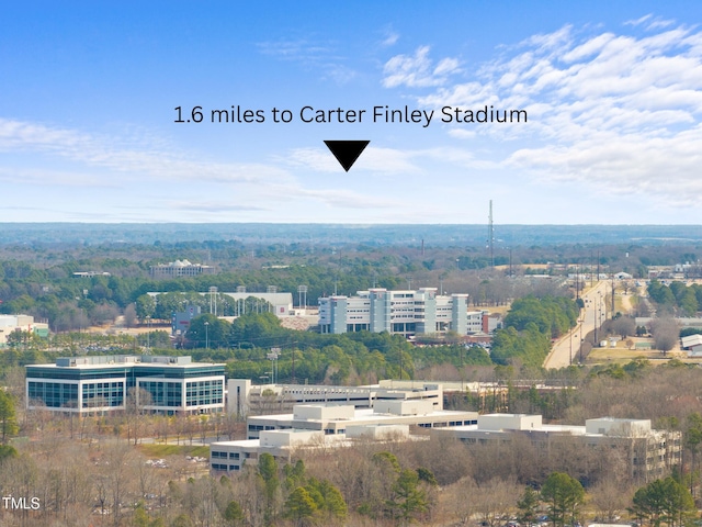 6301 King Lawrence Rd, Raleigh, NC 27607 - view of city