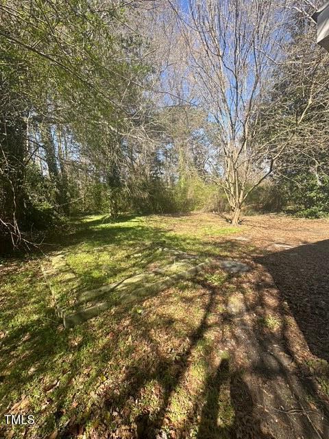 2104 Cecelia Ave, Kinston, NC 28501 - view of yard