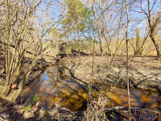 view of local wilderness