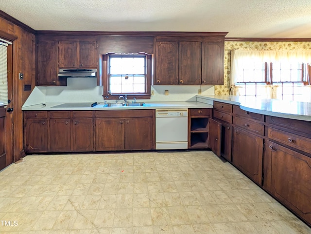 kitchen with light floors, a sink, light countertops, under cabinet range hood, and dishwasher