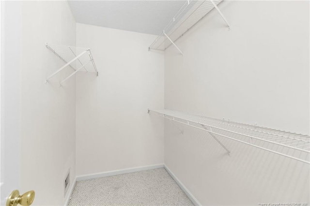 spacious closet featuring carpet