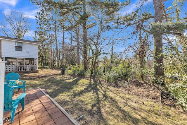 view of yard with a patio area