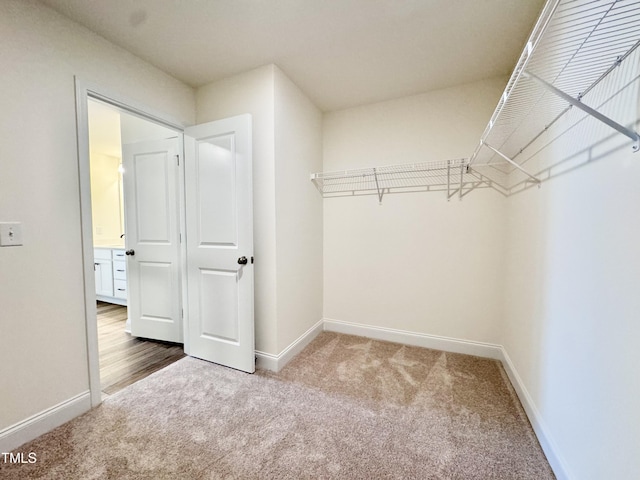 walk in closet featuring carpet flooring