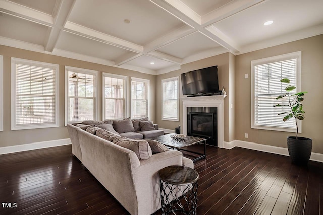 living room featuring a wealth of natural light, coffered ceiling, dark wood-type flooring, and baseboards