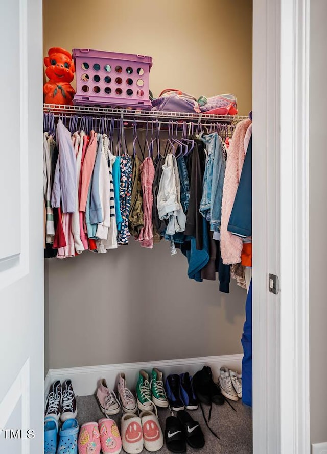 view of spacious closet