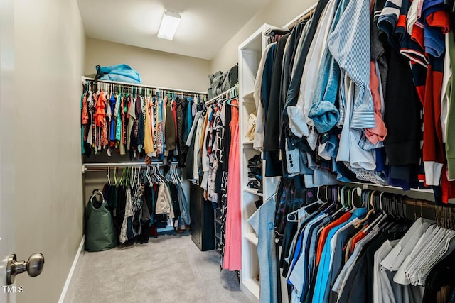 walk in closet with carpet flooring