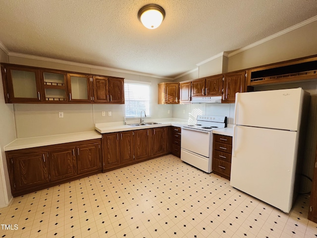 kitchen with under cabinet range hood, white appliances, a sink, light countertops, and ornamental molding