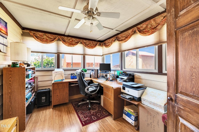 office area featuring light wood-type flooring and a ceiling fan