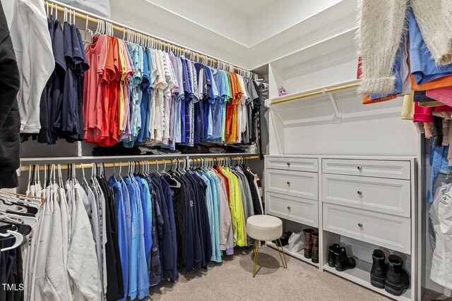 spacious closet featuring carpet flooring