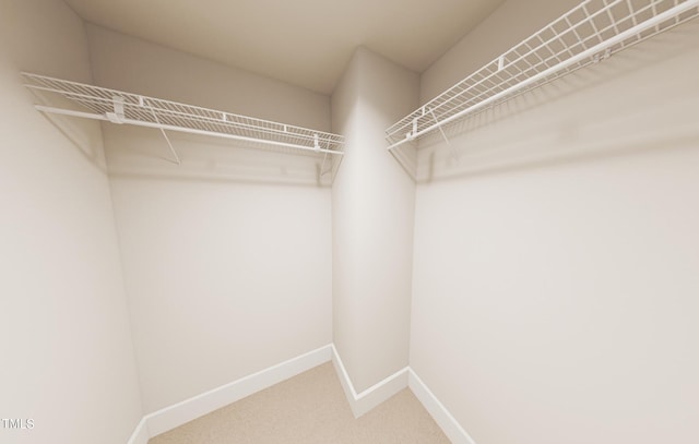 spacious closet featuring carpet