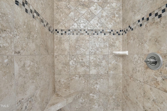 room details with a tile shower