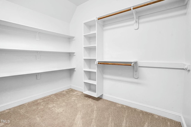 spacious closet with carpet flooring