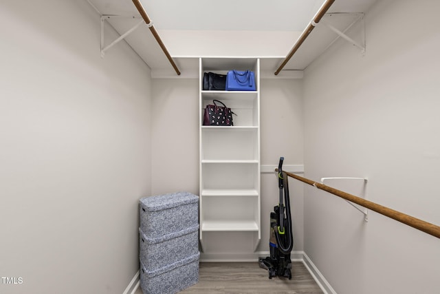 spacious closet featuring wood finished floors