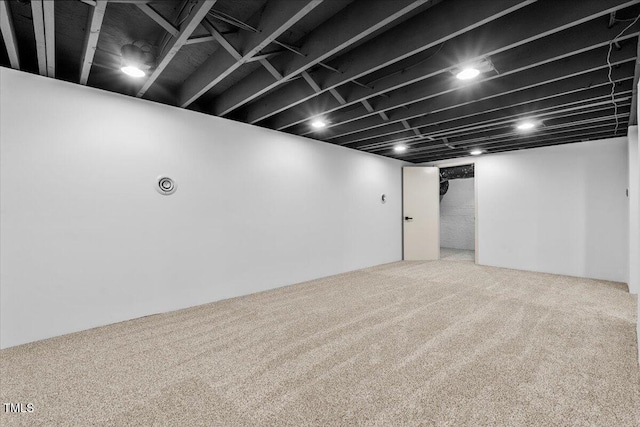 finished basement featuring carpet floors