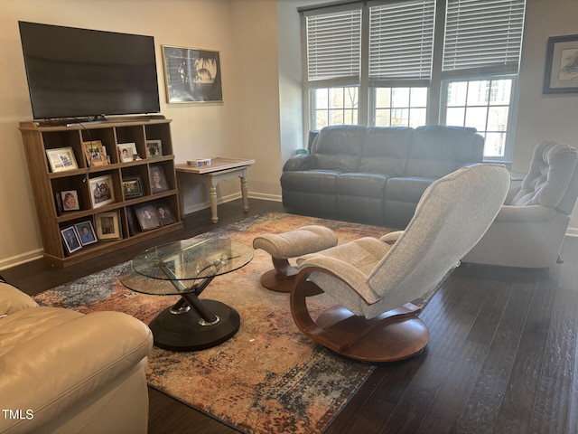 living area with hardwood / wood-style floors, plenty of natural light, and baseboards