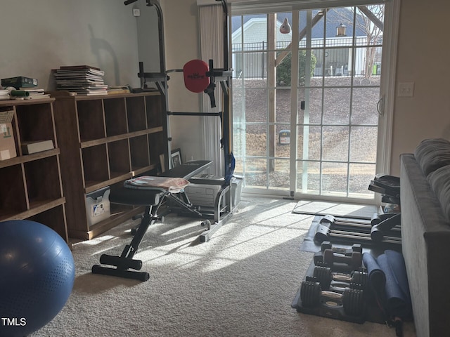 workout area with carpet and plenty of natural light