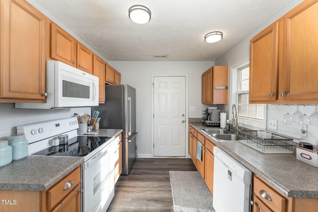 kitchen with brown cabinets, dark wood-type flooring, a sink, a textured ceiling, and white appliances