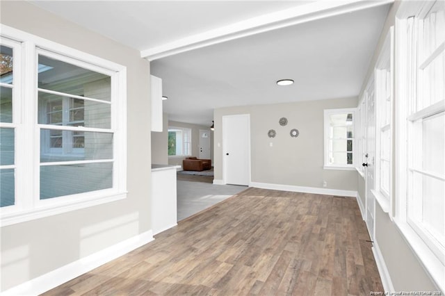 interior space featuring a wealth of natural light, baseboards, and wood finished floors