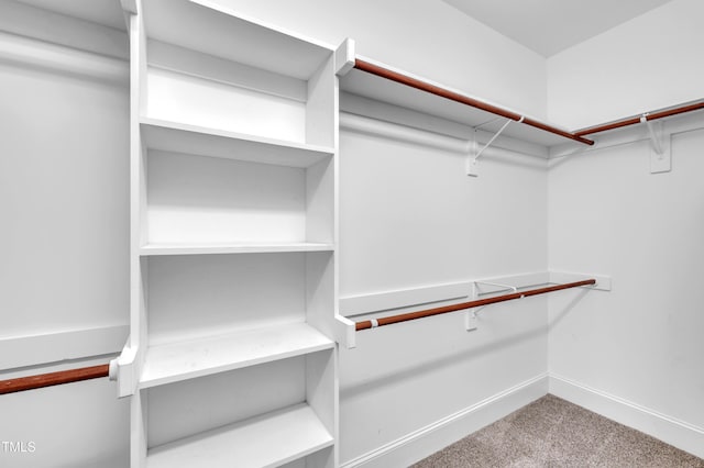 spacious closet with carpet flooring