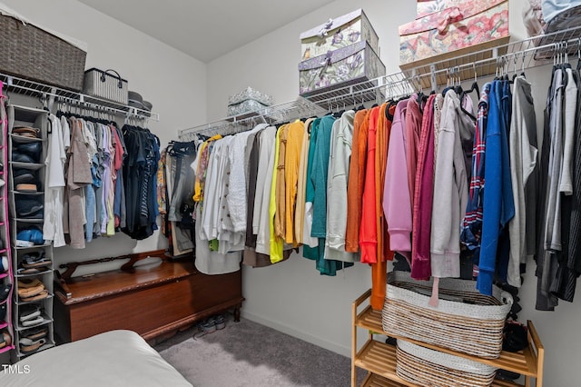 spacious closet featuring carpet