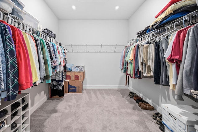 spacious closet featuring carpet floors