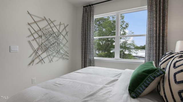 bedroom featuring multiple windows