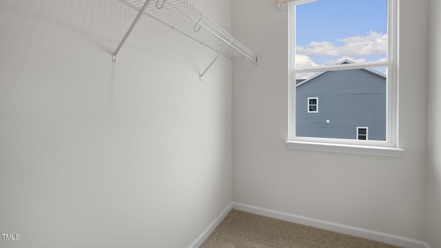 spacious closet featuring carpet flooring