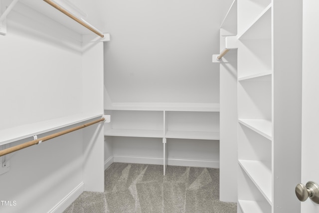 spacious closet with carpet floors