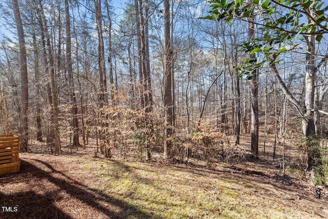 view of yard with a wooded view