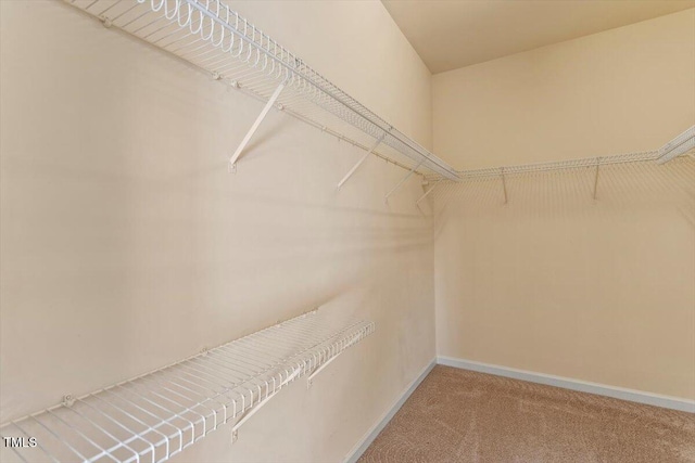 spacious closet with carpet flooring